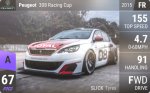 308 Racing Cup