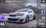 308 Racing Cup