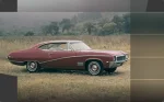 Skylark