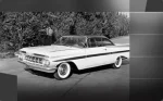 Impala