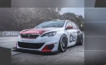 308 Racing Cup