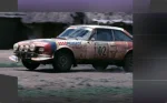 Rally 504