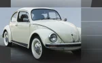 Beetle